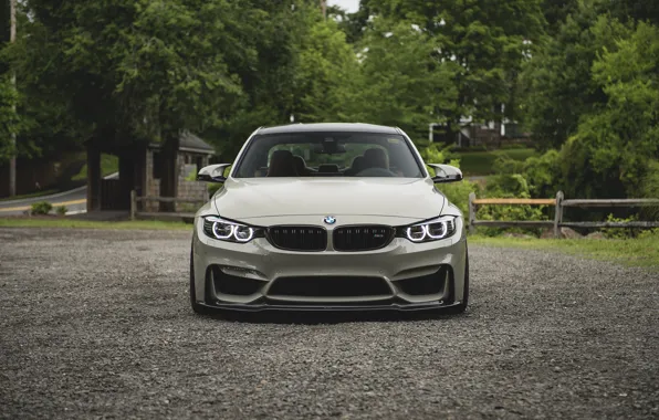 BMW, Front, Face, F82, Forest