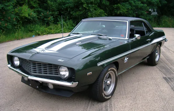 Chevrolet, 1969, green, Camaro, Chevrolet, muscle car, classic, the front