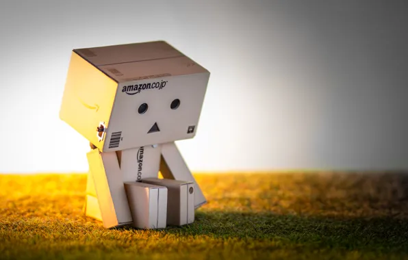 Picture loneliness, Danbo, amazon