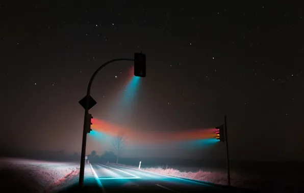Road, light, night, fog, track, night, fog, traffic lights