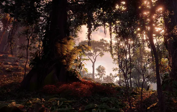 Trees, Sony Interactive Entertainment, Horizon Zero Dawn, Action/RPG