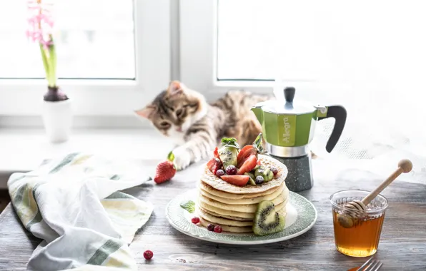 Berries, kitty, Breakfast, window, honey, pancakes, Karina Klachuk