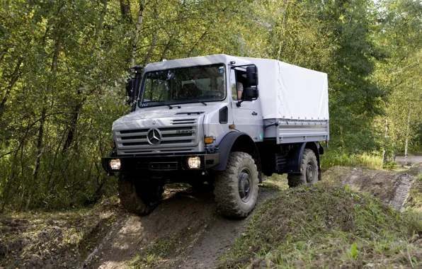 Picture forest, vegetation, Mercedes-Benz, truck, the roads, 4x4, Unimog, U4000