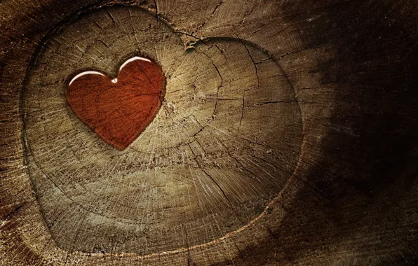 Picture cracked, tree, texture, heart, hearts, log, slice