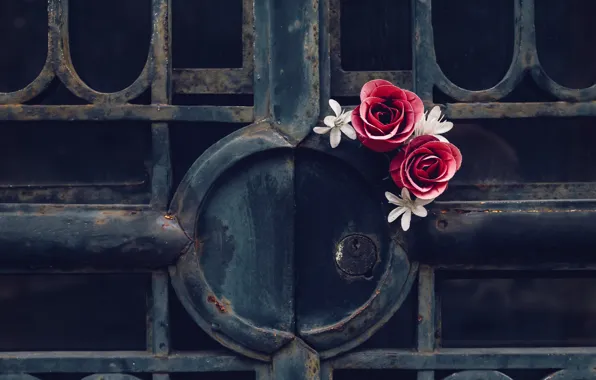 Picture flowers, background, gate