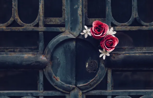Flowers, background, gate