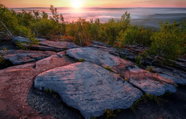 Picture the sun, clouds, trees, landscape, nature, stones, rocks, morning