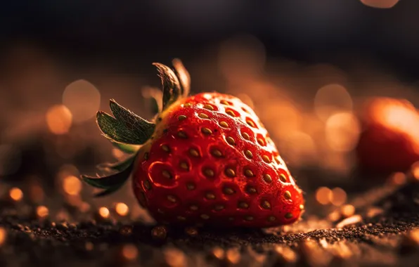 Macro, light, berries, rendering, strawberry, lies, bokeh, digital art