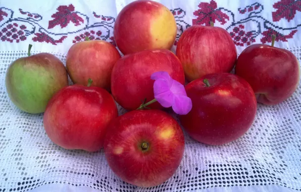 Flower, apples, Summer, red, tablecloth, ripe, the gifts of summer
