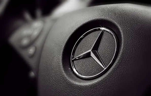 Sign, black, panel, logo, the wheel, button, Mercedes