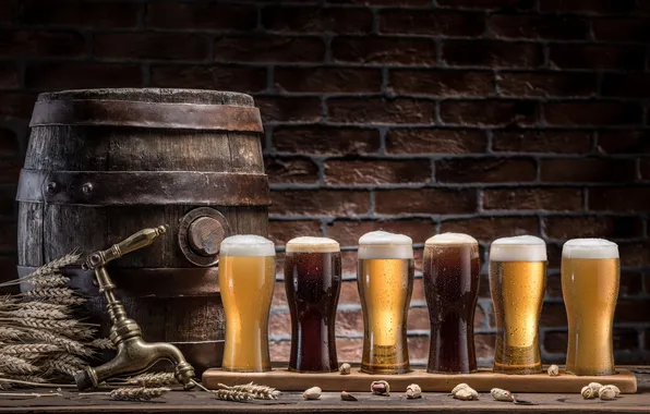 Beer, celebration, alcohol, barrel, brewery, beverage, cask, ale