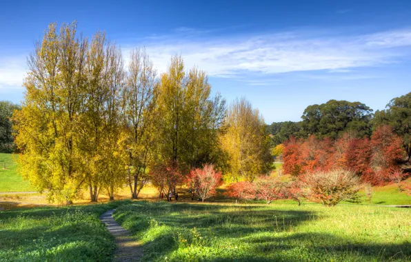 Picture autumn, the sky, grass, the sun, clouds, trees, Park, Australia