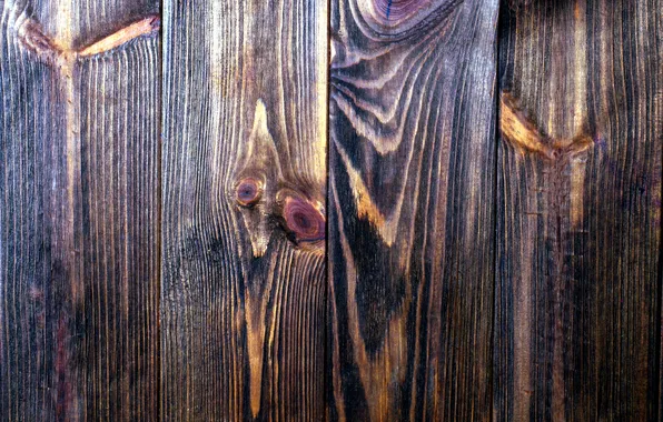 Tree, color, texture, finish