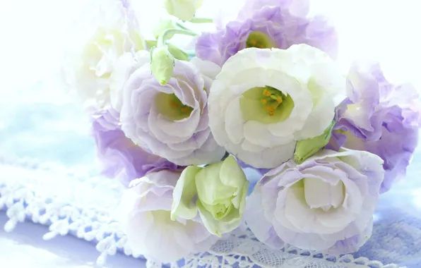 Picture flowers, bouquet, eustoma, white-lilac
