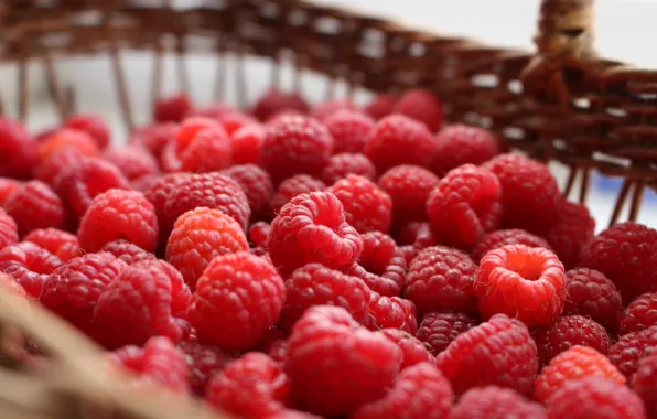 Picture berries, raspberry, basket, a lot, bokeh, blurred background