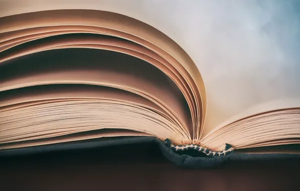 Picture macro, background, book