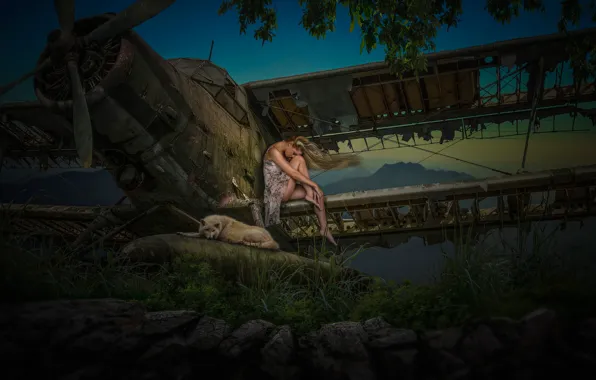 Girl, pose, the plane, wolf, old, sitting, destroyed, an abandoned place