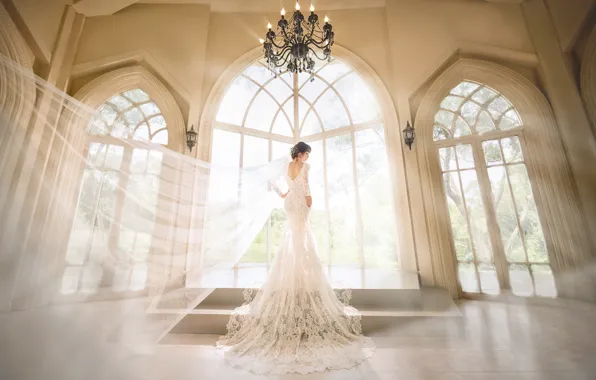 Picture holiday, dress, beauty, the bride, wedding