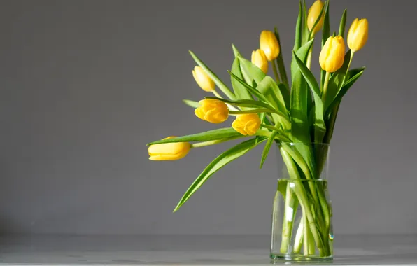 Leaves, flowers, bouquet, spring, yellow, tulips, vase, grey background