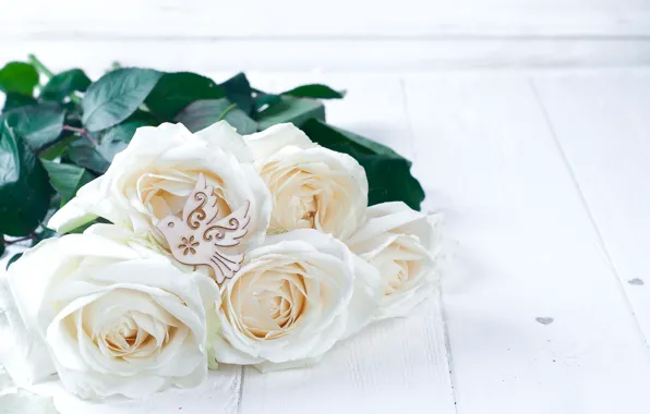 Picture roses, bouquet, white, white, flowers, roses