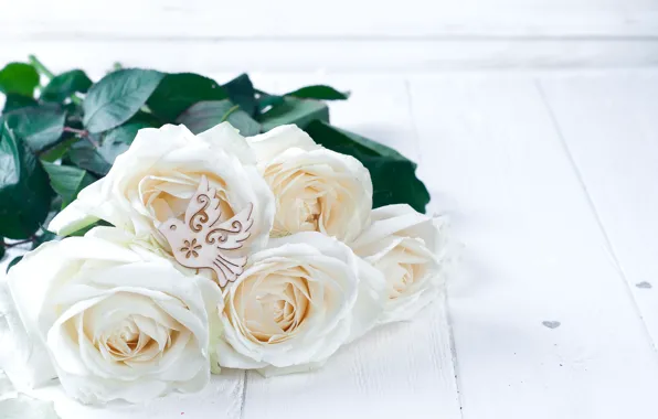 Roses, bouquet, white, white, flowers, roses
