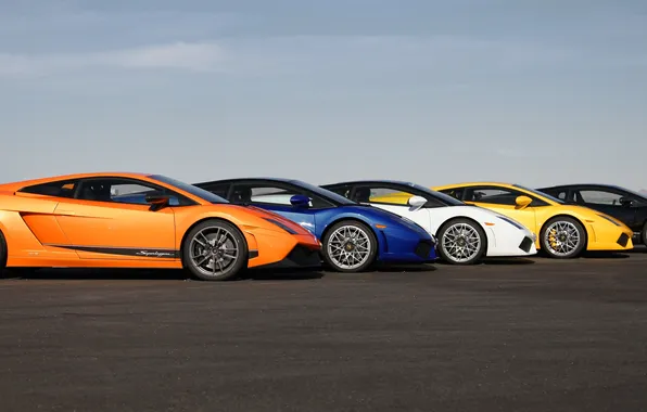 Track, beauty, supercars, Lamborghini Gallardo