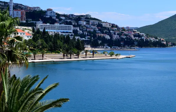 Sea, trees, mountains, palm trees, coast, home, Bosnia and Herzegovina, Neum