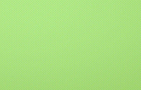 Line, scales, scales, snakeskin