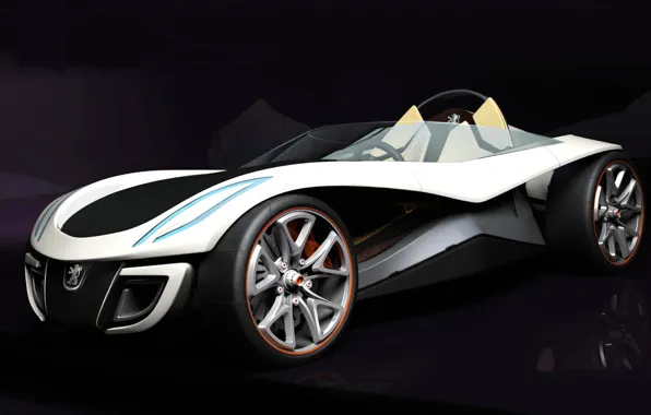 Concept, Peugeot, Roadster, flux