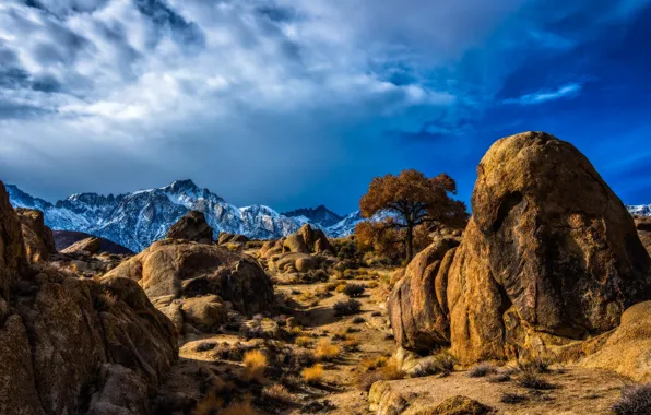 Snow, mountains, nature, stones, desert, tops, plants