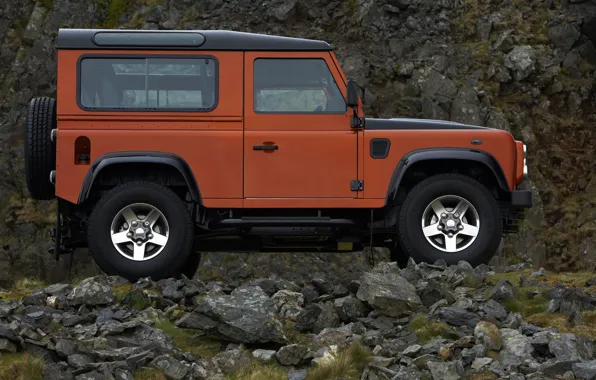 Picture Land Rover, 2009, Defender, in profile, Limited Edition