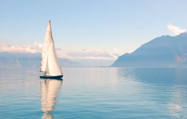 The sky, water, shore, sail