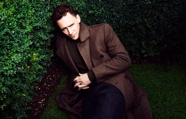Picture background, mood, actor, male, coat, the bushes, Tom Hiddleston, Tom Hiddleston