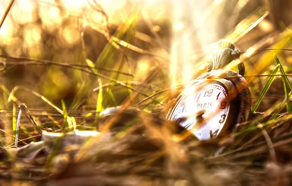 Picture grass, watch, cover, dial, bokeh