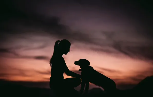 Girl, dog, silhouette