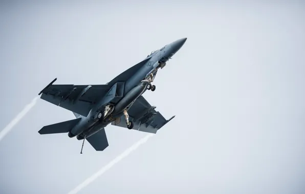 Picture weapons, the plane, FA-18E Super Hornet