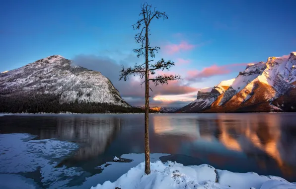 Snow, landscape, mountains, nature, lake, Canada, Albert, national Park