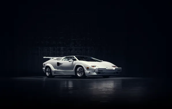 Picture Lamborghini, white, Countach, 1989, Lamborghini Countach 25th Anniversary, iconic