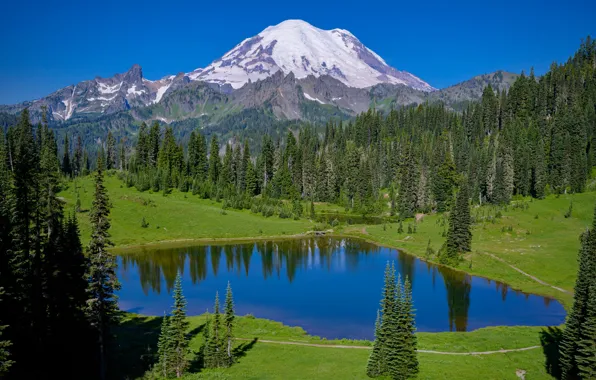 Picture USA, Washington, National Park mount Rainier, lake Tipsoo