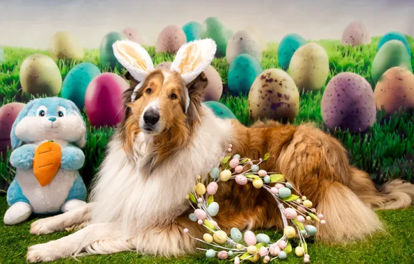 Holiday, eggs, dog, Easter, wreath