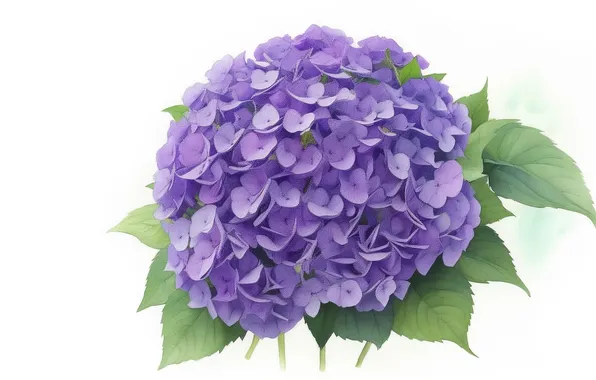 Flower, purple, flowers, green, green, tenderness, figure, plant
