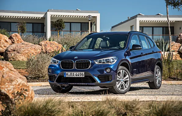 Picture blue, stones, BMW, BMW, xDrive, SUV, Sport Line, 2015