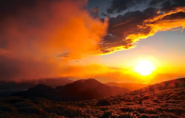 Landscape, sunset, nature