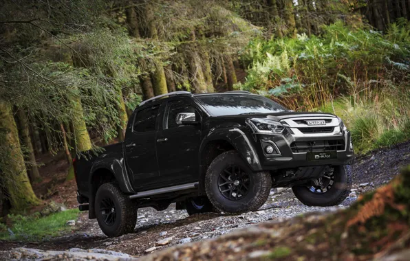 Picture forest, black, pickup, Isuzu, 2017, Arctic Trucks, D-Max, UK version