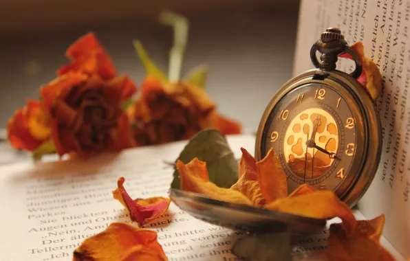 Picture flowers, watch, roses, petals, book, pocket