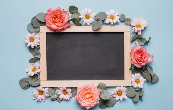 Petals, Roses, Board, Chrysanthemum