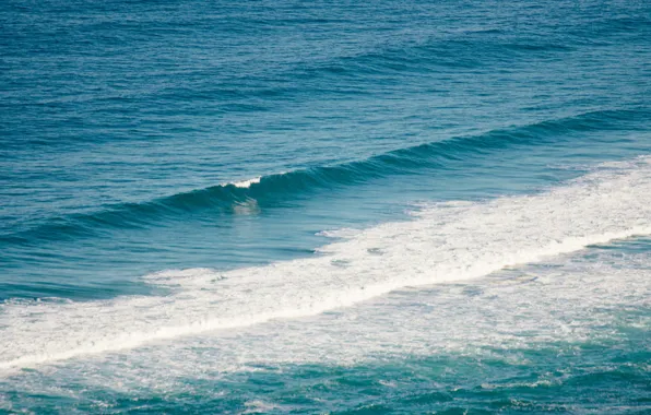 Picture sea, wave, summer