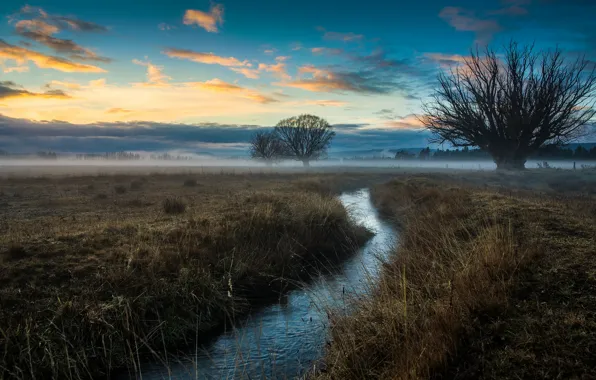Picture field, the sky, clouds, trees, fog, stream, glow