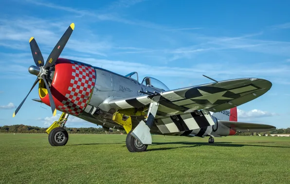 Screw, Thunderbolt, USAF, Fighter-bomber, The Second World War, P-47D Thunderbolt, P-47 Thunderbolt, Chassis