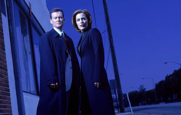 Picture the series, The X-Files, Classified material, Dana Scully, John Doggett